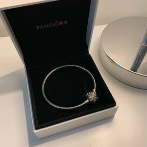 Pandora Bangle Bracelet